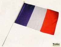 Frankreich Fahne am Holzstab