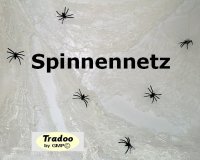 Spinnennetz-Deko